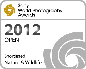 Sony World Photo Awards 2012 Sony World Photo Awards 2012