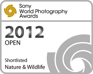Sony World Photo Awards 2012