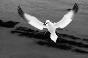 IMG_2281.jpg