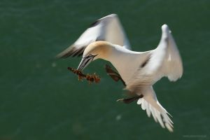 IMG_2793_sm.jpg