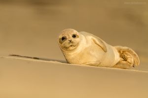 IMG_3418_sm.jpg