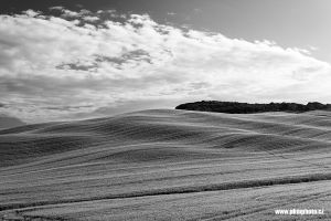 IMG_2295BW_smv900.jpg