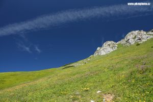 _MG_4425_smv900.jpg